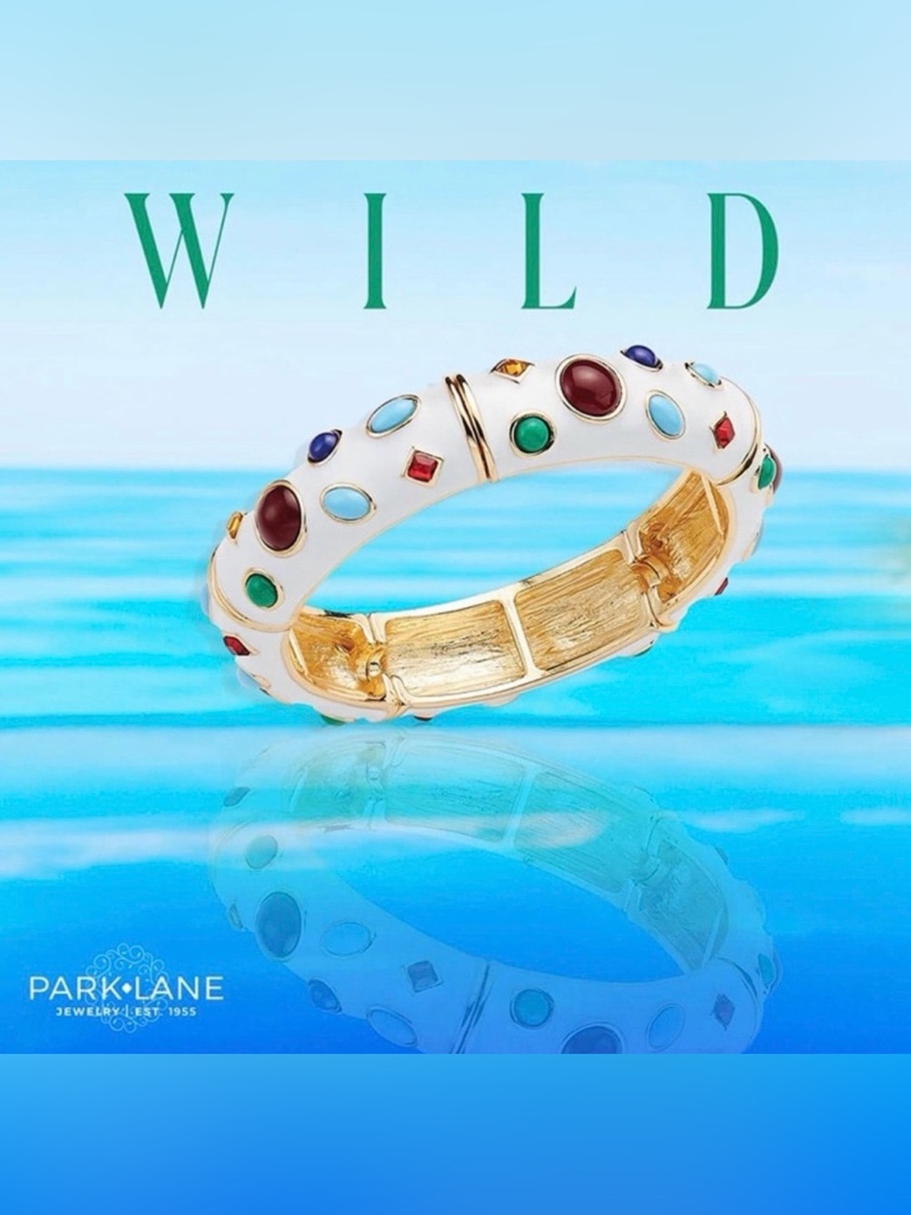 Park Lane “Wild” Bracelet! NWOT!!